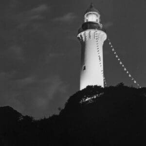 Illuminated lighthouse in black and white photography amidst dark sky and dense vegetation.