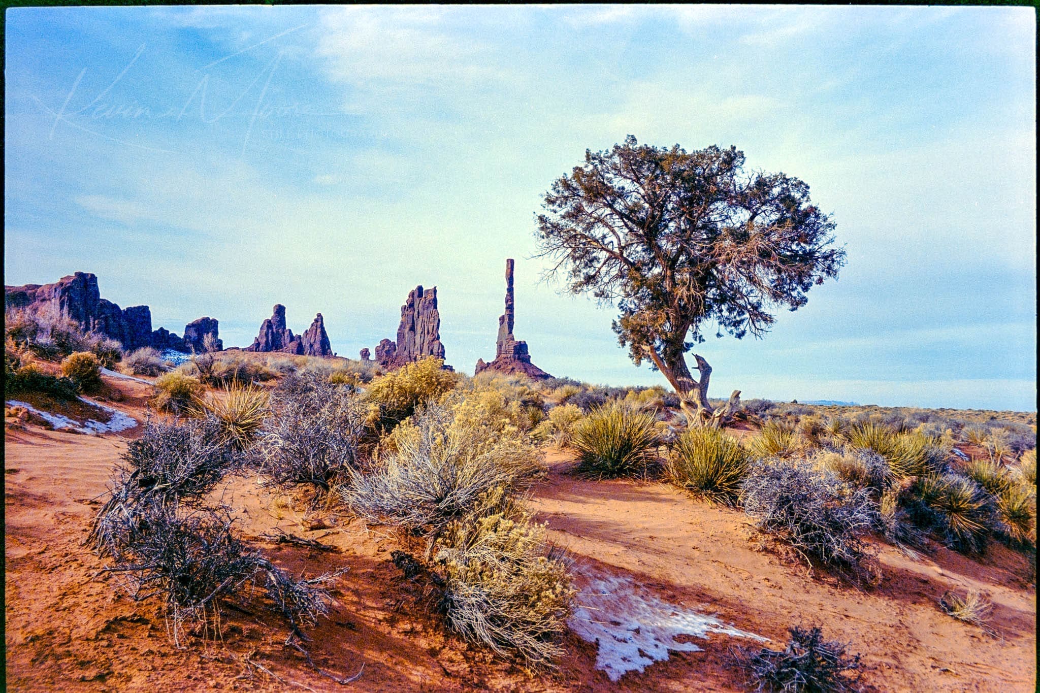 Desert landscape with rock formations, sparse vegetation, and a solitary tree under a vast sky.