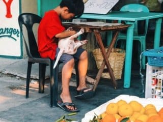Child Engrossed in Playing with His Puppy Amidst Vibrant Philippines Street Market Boy engrossed in playing with puppy at vibrant street market in urban Philippines.