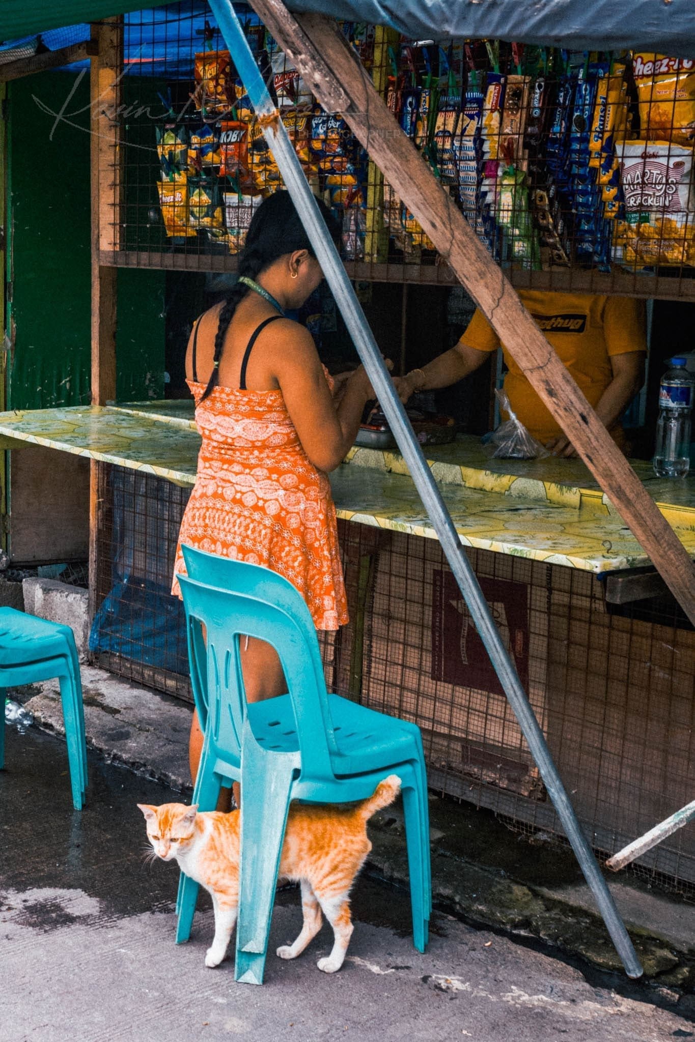 Vibrant street shop scene with woman in orange dress and cat.