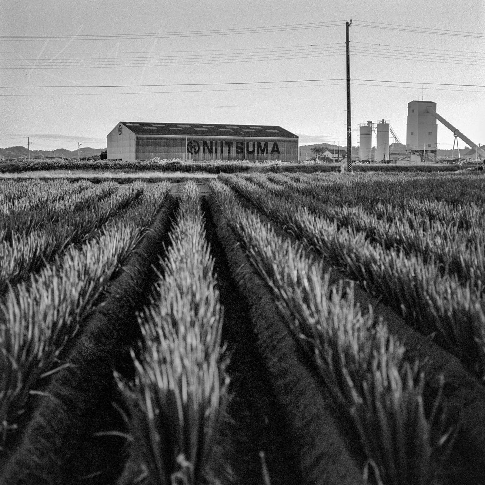 Rural agricultural landscape with NIITSUMA industrial building and silos.