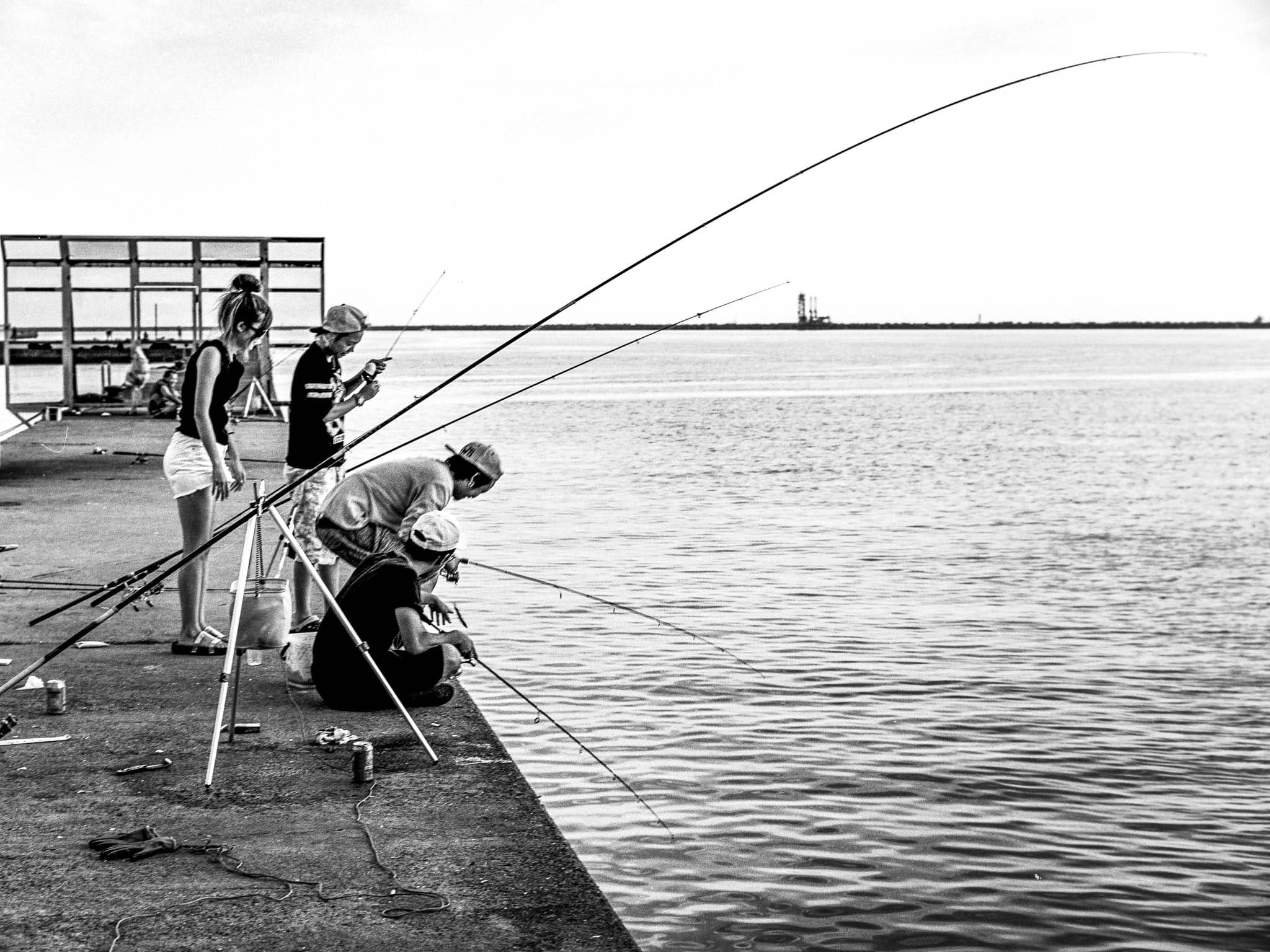 Four people fishing on a dock under a clear sky.