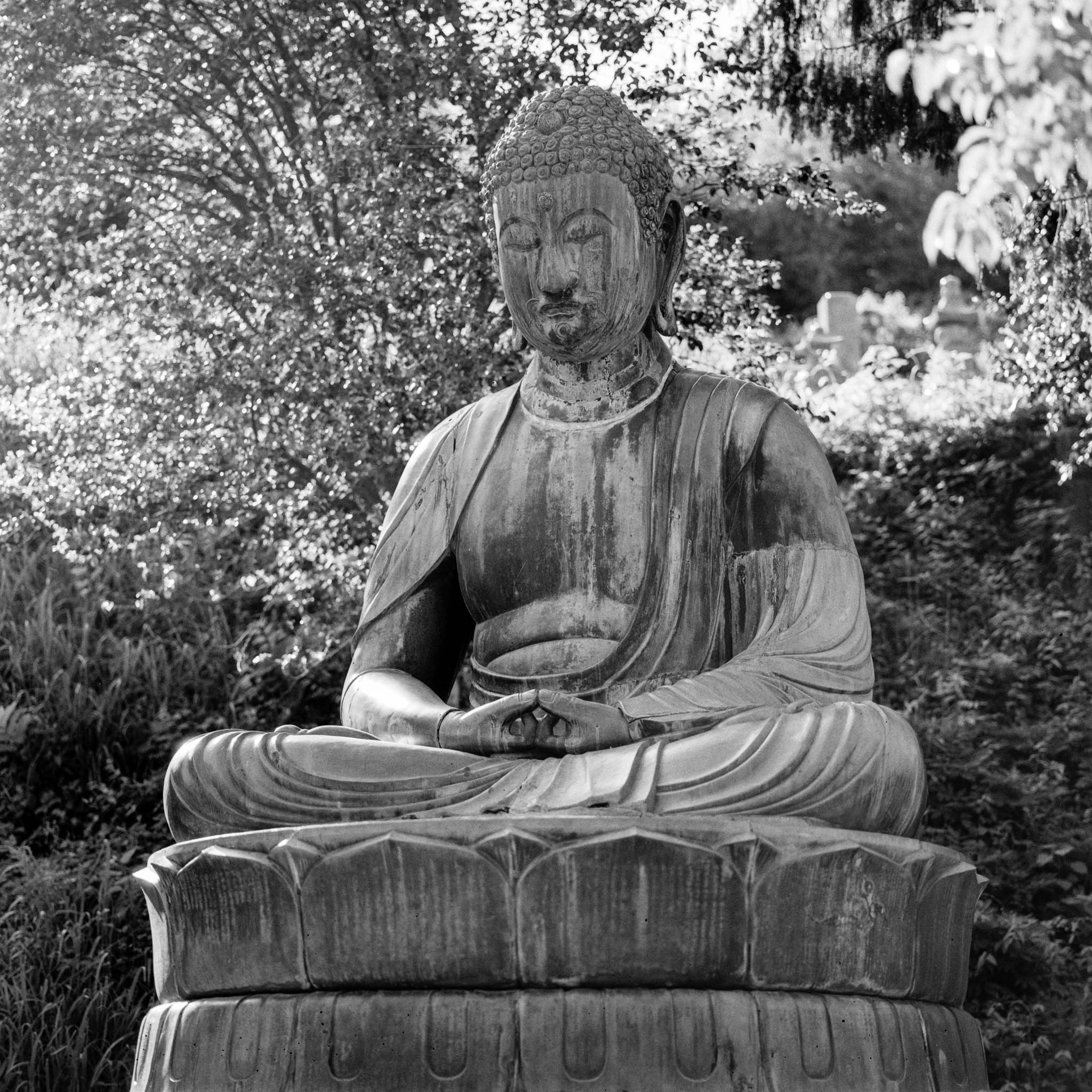 Serene Buddha statue in meditation pose set in a lush garden.