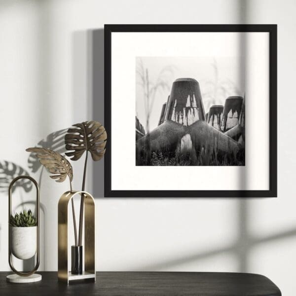 Fine art black and white print of tetrapods framed and displayed on a wall, front view